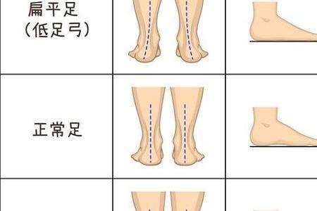 身正肩平足安什么意思