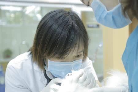 宠物医院可以刷医保吗