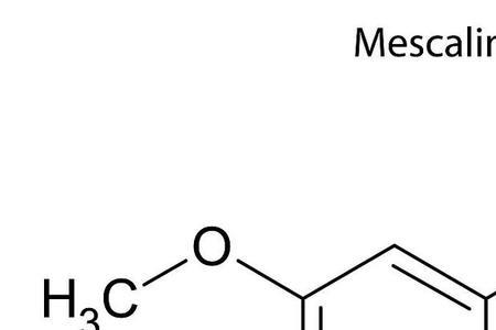 缩氨酸的化学方程式