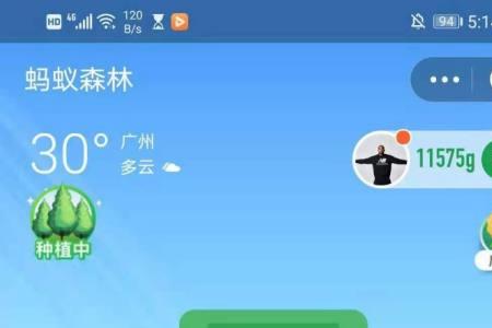 蚂蚁能量104g是什么