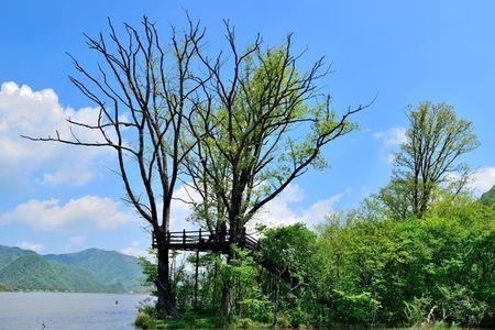 什么叫融情于景