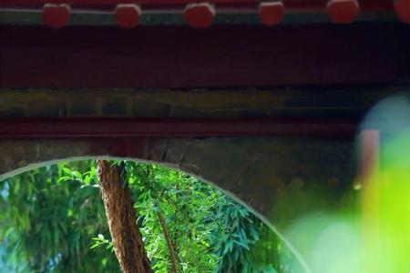 独坐寒窗听风雨全文