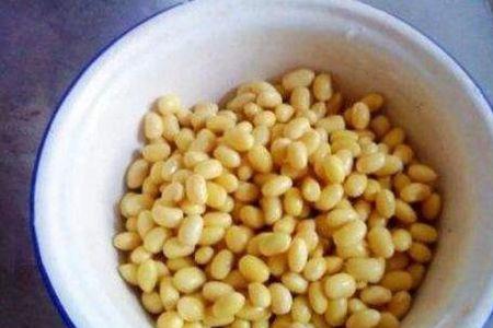 怎么让黄豆发霉