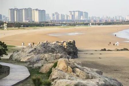 唐岛湾几号楼可以捡贝壳