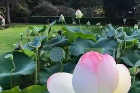 恬淡虚无四种境界