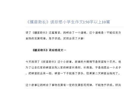 懒猫市长的读后感