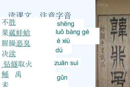 读完郑人买履你会如何劝告证人