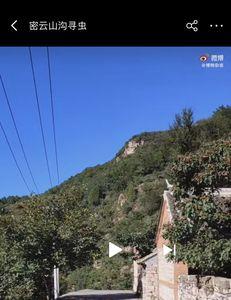 农村生活视频都是自己拍吗