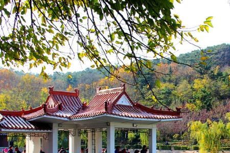 青岛森林公园多少层