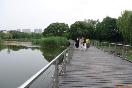 漫步在公园里的好的心情