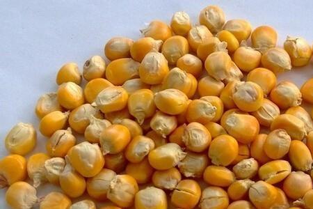 菠菜可以用清水泡一夜吗