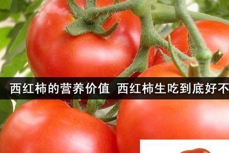 番茄口味起什么名字好听