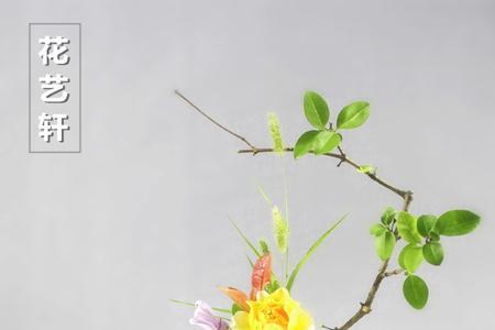 什么是东引桃枝