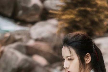 青灯不归客却因浊酒留风尘全诗