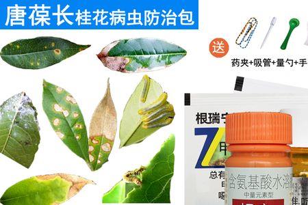 打红蜘蛛能复配百泰杀菌剂吗
