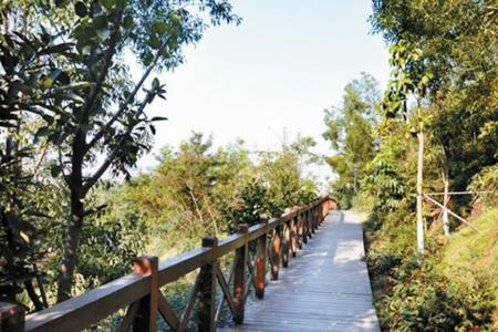 十大氧吧城市