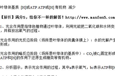 光合作用暗反应途径是谁发现的