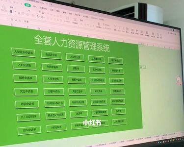 信息整理一般包括哪些方面