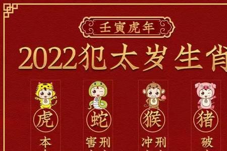 2012年13岁属什么生肖
