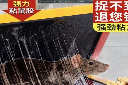 魔毯可以剪吗