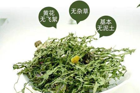 为什么蒲公英茶这么便宜