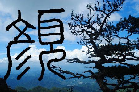 关于颜姓的研究结论