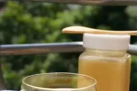 奶茶里喝出蜜蜂怎么办
