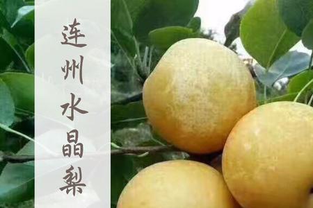 什么是富硒梨