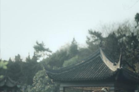 美女七绝诗八首