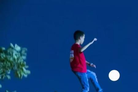 都是月亮惹的祸是什么梗