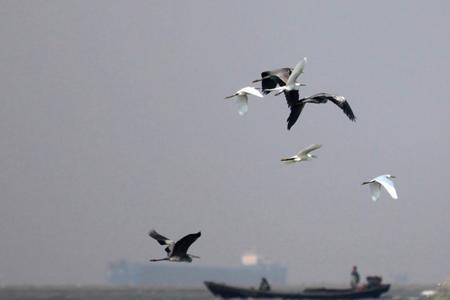 里海生物多样性丰富原因