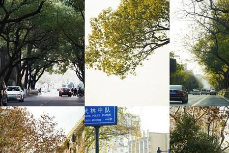 如何快速记住杭州的所有街道
