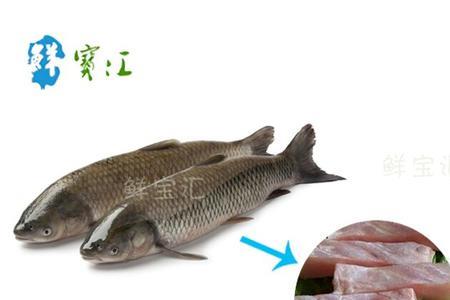 什么鱼肉是脆的