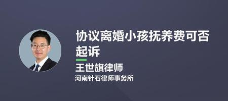 抚养费起诉流程及费用标准