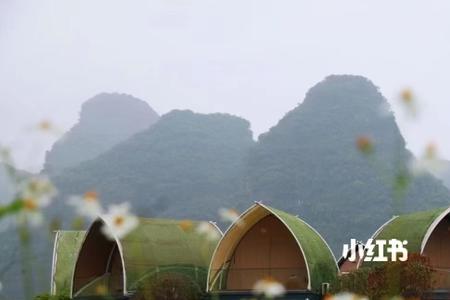 大猫森林营地要门票吗