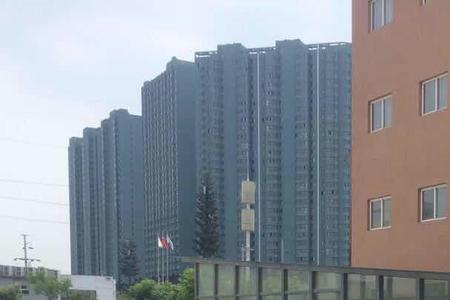 横竖线哪个磅数高