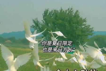 七月云南下雨的文案