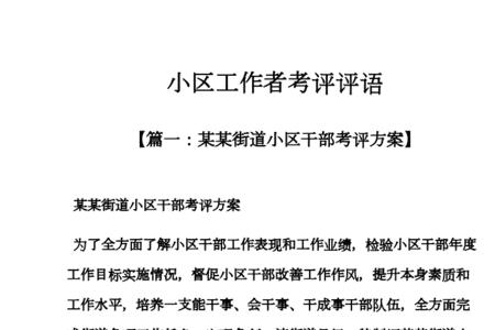 村治安主任考核评语