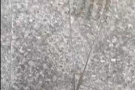 泡沫逗钓5毫米可以吗