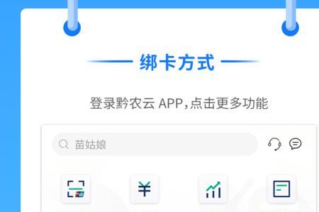 苹果手机怎么登录不了黔农云