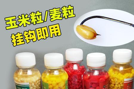 麝香玉米和纯玉米哪个更好