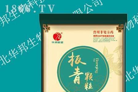 羊能长期喂板青颗粒吗