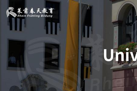 德国乌尔姆大学世界排名