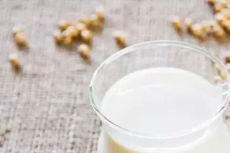 豆浆属于豆制品吗