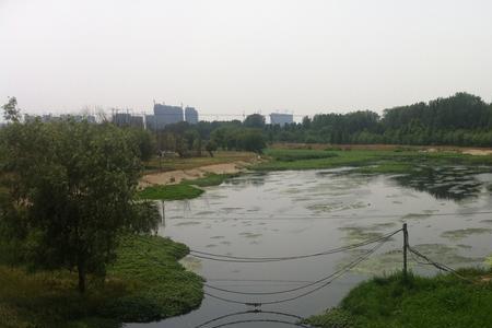 郑州贾鲁河露营地点