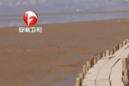 鄱阳湖千眼桥谁修的