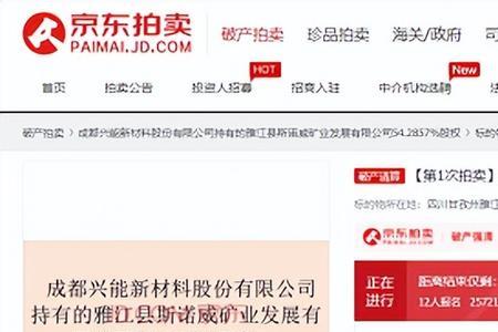 京东竞拍手机什么意思