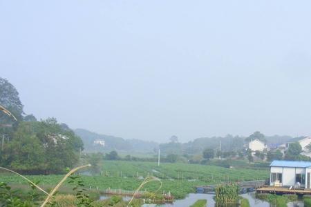 湖南有多少个养殖基地