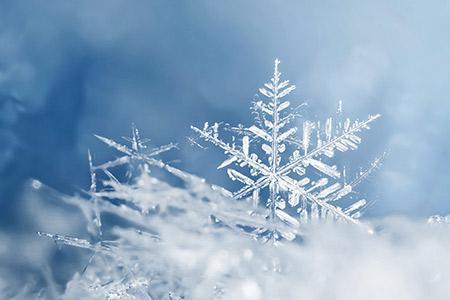 姗姗来迟和白雪皑皑怎么造句