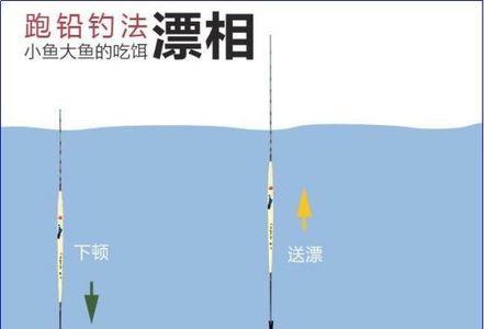 钓青鱼悬坠还是无铅钓法实用